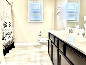 a bathroom with a toilet and a sink and a shower at Beautiful home with Viking Royale Spa conveniently located near the Marines in Jacksonville