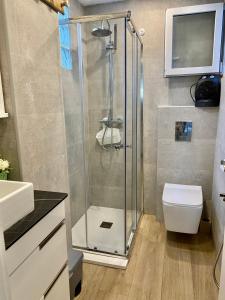 a shower stall in a bathroom with a toilet at Loft JUNTO AL MAR in Vinaròs