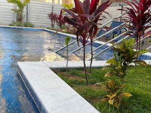 a swimming pool with plants next to a house at Casa em PontaNegra Aconchegante in Natal