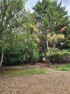 un jardín con árboles y flores y una valla en Cosy Studio in trendy Islington, w/private garden!, en Londres