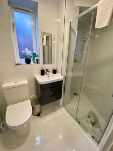 a bathroom with a toilet and a shower and a sink at Cosy Studio in trendy Islington, w/private garden! in London