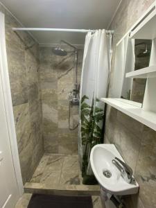 uma casa de banho com um lavatório e um chuveiro com uma cortina de chuveiro em La Foulnerie Studio avec cour autonome 61270 Rai proche 61300 l'Aigle 