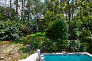 a backyard with a swimming pool and a bush at Cabane forêt proche plage in Pyla-sur-Mer