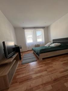 a bedroom with a bed and a flat screen tv at Apartman centrum Šturka in Martin