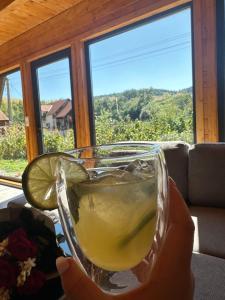 a person holding a glass with a lime in it at Little House Bologa in Bologa