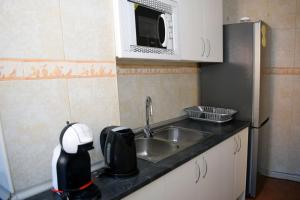 uma pequena cozinha com um lavatório e um micro-ondas em Apartamentos Atlas Terrassa II em Terrassa