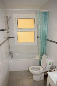 uma casa de banho com um WC, um chuveiro e uma janela. em Apartamentos Atlas Terrassa II em Terrassa