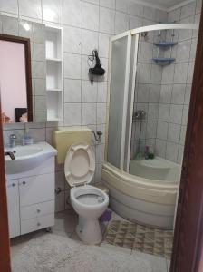 a bathroom with a toilet and a shower and a sink at Apartmani Konta in Livno