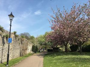 a street light next to a stone wall with trees at The Print Rooms, Old Printworks, Winchester in Winchester