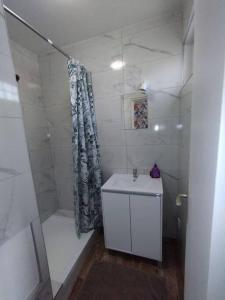 La salle de bains blanche est pourvue d'une douche et d'un lavabo. dans l'établissement Le ptit nid de Louviers TV/Fibre, à Louviers