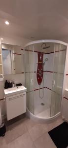 een witte badkamer met een douche en een wastafel bij La petite bulle in Vouvray