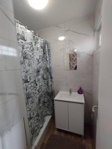 La salle de bains est pourvue d'un rideau de douche et d'un lavabo. dans l'établissement Le ptit nid de Louviers TV/Fibre, à Louviers