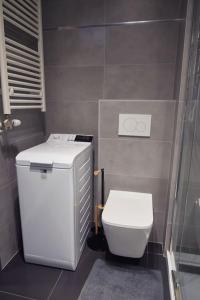 La petite salle de bains est pourvue d'une douche et de toilettes. dans l'établissement Apartament Carolina, à Rzeszów