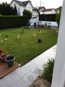 a yard with some birds in the grass at chez Germaine in Lourdes