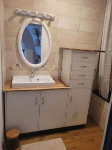 une salle de bains avec un lavabo et un miroir dans l'établissement Petite maison avec jardin privé, au Malzieu-Ville