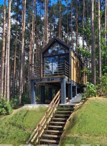domek na drzewie ze schodami prowadzącymi do niego w obiekcie Brama Do Lasu - Domek w Koronach Drzew w Kielcach
