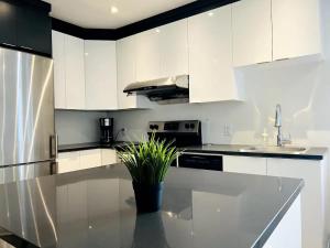 una cucina con armadi bianchi e un bancone con una pianta in vaso di Spacious one room in two floors apartment-102 a Montréal