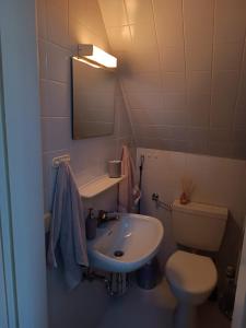 y baño con lavabo, aseo y espejo. en Fischerhaus Herstelle, en Beverungen