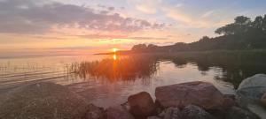 Gallery image of Siedlisko Natura in Sułomino +55 photos