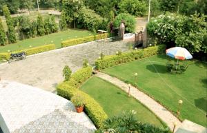 an overhead view of a garden with an umbrella at Hotel Sanctuary Resort in Sawāi Mādhopur
