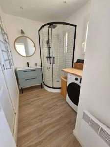 uma casa de banho com um chuveiro, um lavatório e um espelho. em Très bel appartement vue mer em Six-Fours-les-Plages