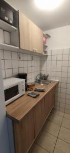 una cocina con fregadero y microondas en una encimera en ApartHotel Catalin, en Galaţi