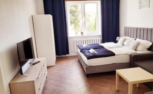 Postel nebo postele na pokoji v ubytování Mazury-mieszkanie