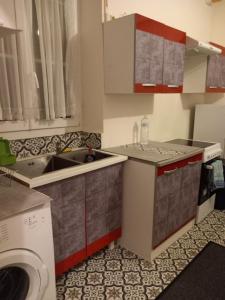 een kleine keuken met een wastafel en een wasmachine bij Fleurs de lotus 1 in Romilly-sur-Seine