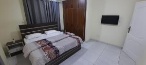 1 dormitorio con 1 cama y TV en Atom Height Apartments, en Tema