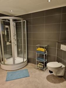 uma casa de banho com um chuveiro, um WC e um espelho. em Moderne hus med 5 soverom og 2 bad på Hidra em Hidra