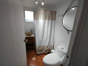 ein Badezimmer mit einem WC, einem Waschbecken und einem Spiegel in der Unterkunft Lodge Sol De Cáhuil in Pichilemu