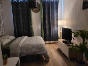 1 dormitorio con 1 cama, TV y cortinas en Le Paséo, en Troyes