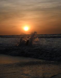 聖貝爾納多德爾比恩托的住宿－älanacasadeplaya，日落时在海洋里挥舞的人