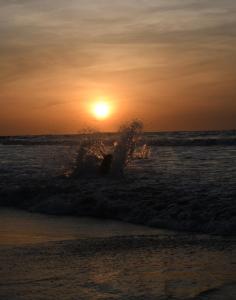 a person riding a wave in the ocean at sunset at älanacasadeplaya in San Bernardo del Viento +91 photos
