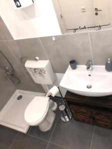 ein Badezimmer mit einem weißen WC und einem Waschbecken in der Unterkunft Grüne Oase mit Balkon & Netflix I EG in Duisburg