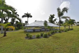 a large tent in a field with palm trees at Luxury Villa Bonita Sleep 50 + in Isabela