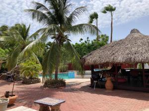 Giardino di Woodstock Palmresort Curaçao