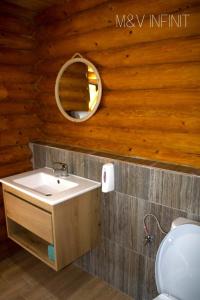 a bathroom with a sink and a mirror at M&V Infinit in Sălătrucel