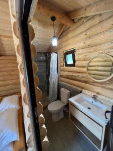 a bathroom in a log cabin with a sink and a toilet at M&V Infinit in Sălătrucel