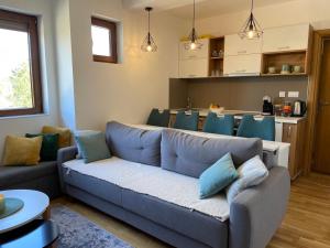 Η κουζίνα ή μικρή κουζίνα στο Apartman Bela Reka Zlatibor