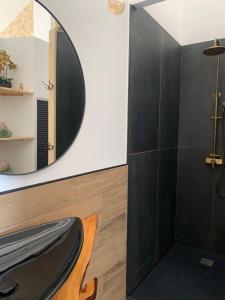a bathroom with a shower with a mirror at L inarretable studio independant in Cubnezais