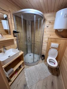 a bathroom with a shower and a toilet and a sink at Hiska Na Samem v Slovenj Gradcu in Slovenj Gradec