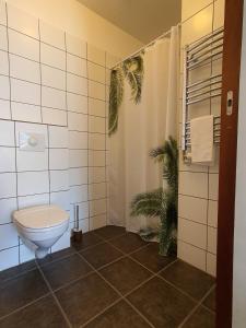 a bathroom with a toilet and a plant in it at Studio 22 in Reyðarfjörður