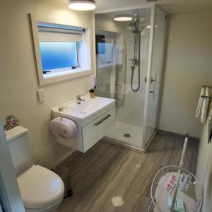 uma casa de banho com um WC, um lavatório e um chuveiro em Kea by the Lake em Te Anau