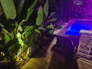 a swimming pool in a backyard with a plant at Tamares in Casablanca