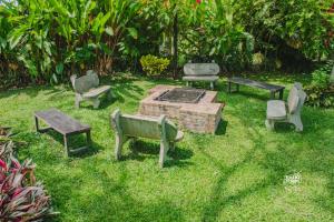 a group of benches and a fire pit in the grass at Hotel Vivero Arte Vivo I Quindío I Eje Cafetero in La Tebaida