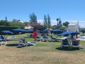 een groep ligstoelen en parasols in een park bij Pedras D` EL Rei Village in Tavira
