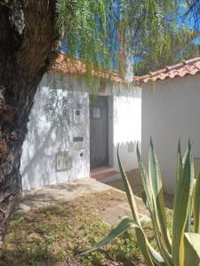 una puerta de una casa con un árbol delante de ella en Pedras D` EL Rei Village, en Tavira
