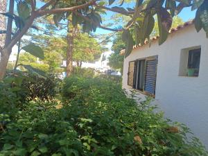 a building with a lot of green bushes next to a building at Pedras D` EL Rei Village 110 in Tavira +30 photos