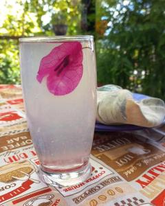 a glass with a flower on it sitting on a table at Casa Nina in San Cristóbal de Las Casas